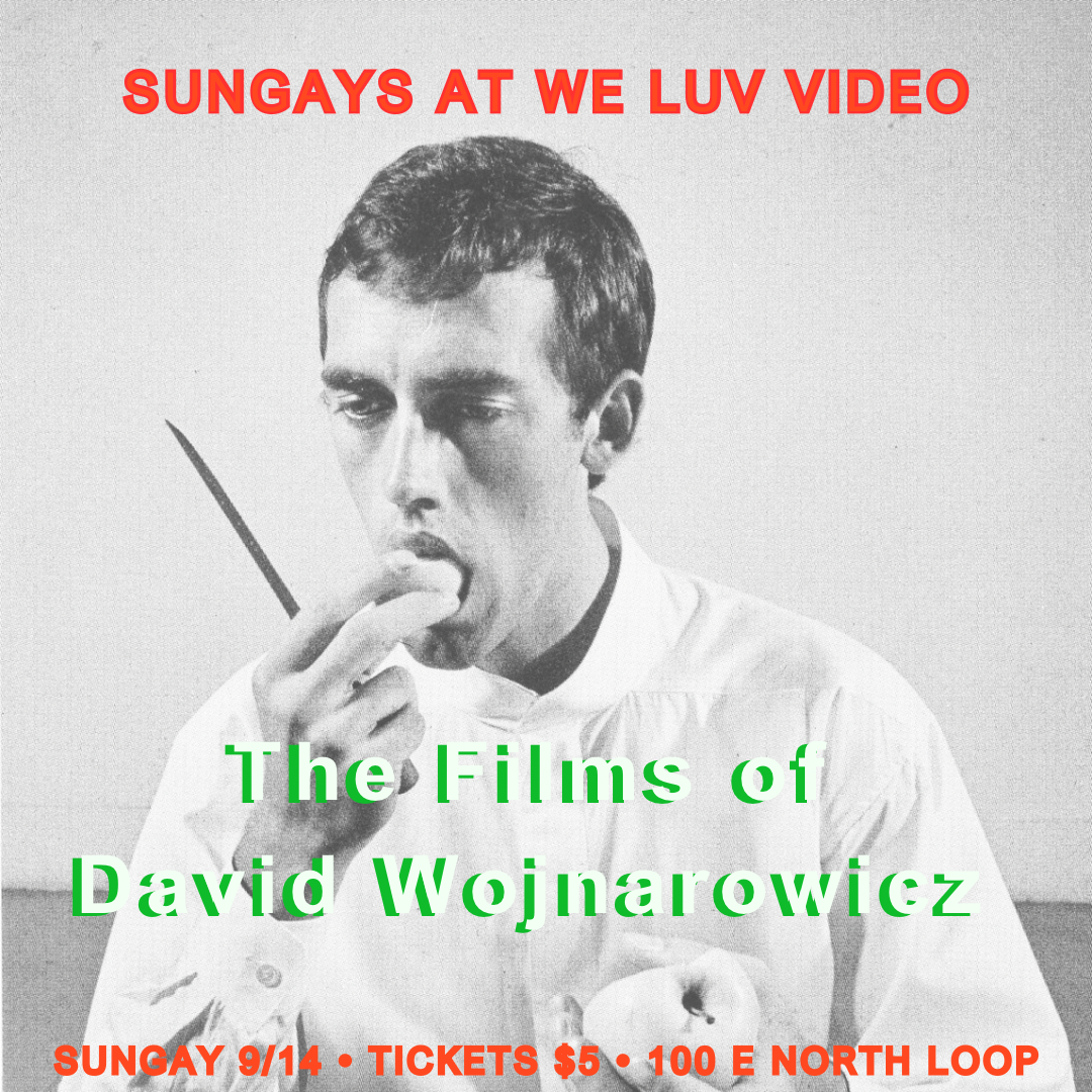 SunGays: The Films of David Wojnarowicz