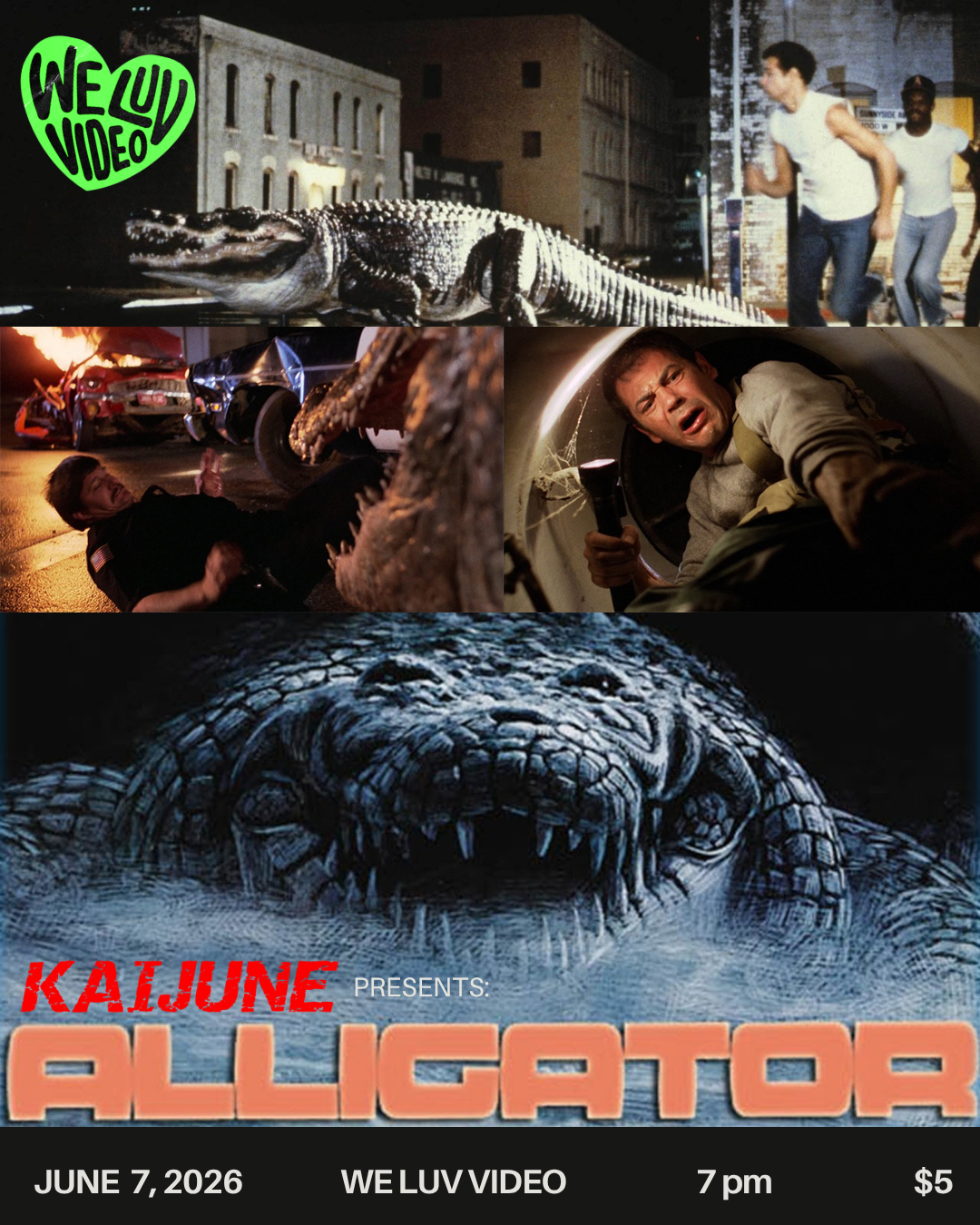 Alligator (KaiJune)