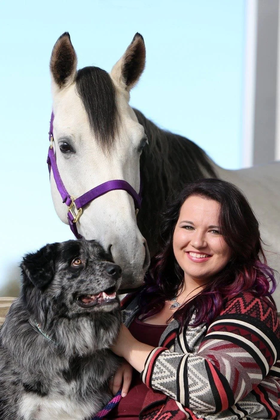 Ravin — Brush College Animal Hospital