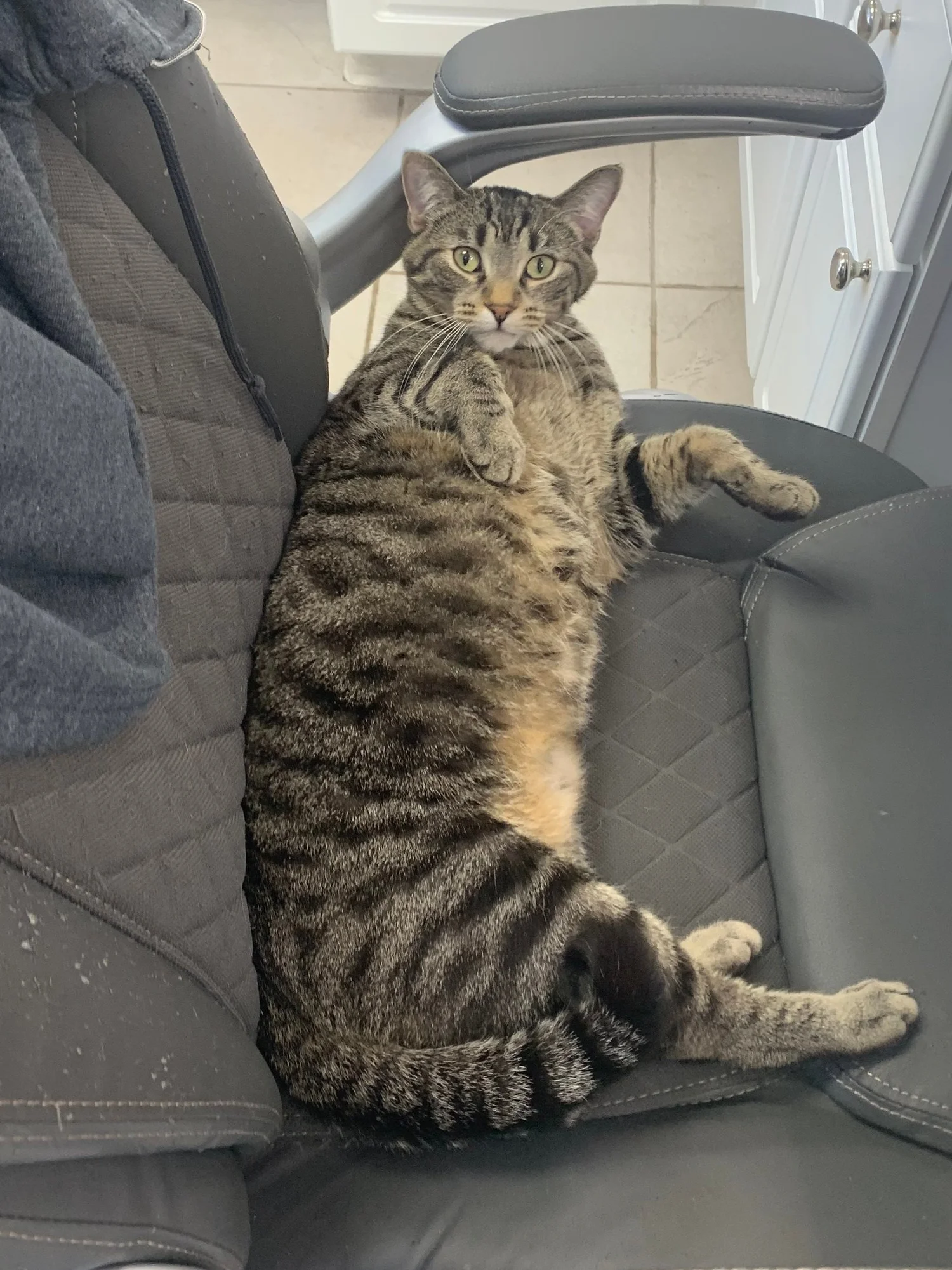 Our Team — Brush College Animal Hospital