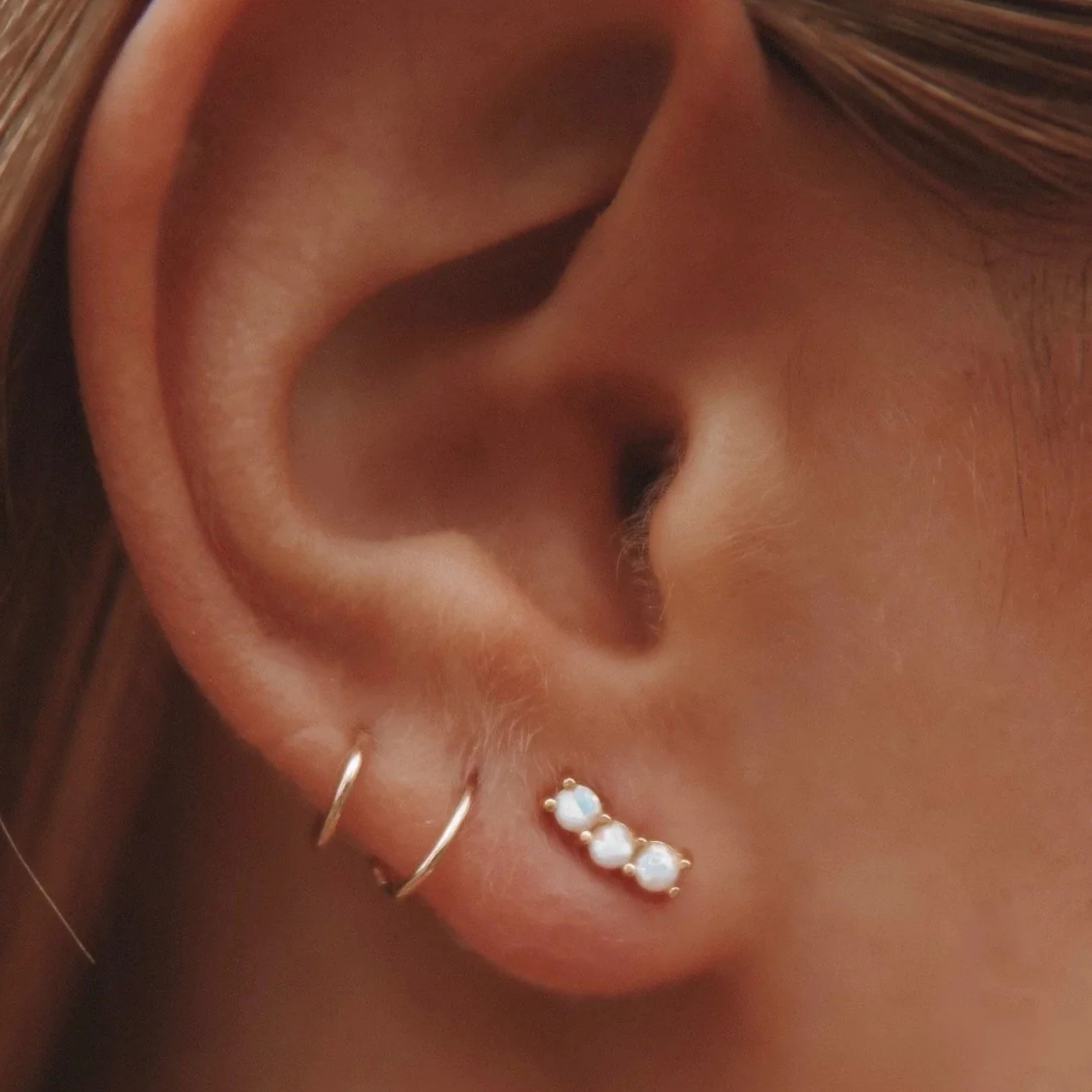 Indus Earrings.jpeg