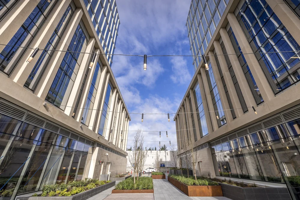 1001 office towers archecology