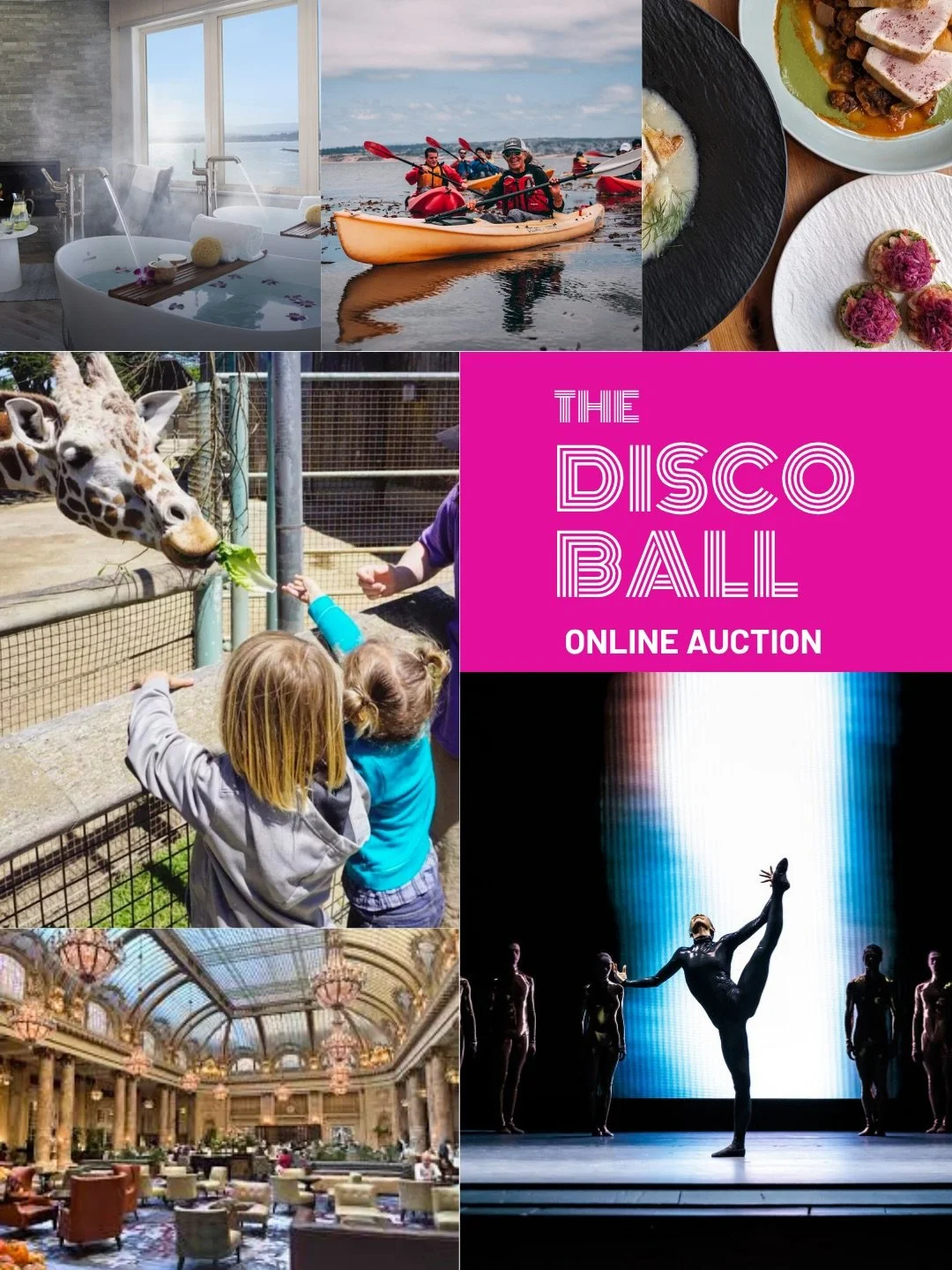 The Disco Ball Online Auction is NOW LIVE! 🎉🪩 And you don&rsquo;t have to be in the room to be part of the magic.

Browse an incredible collection of experiences, escapes, and one-of-a-kind items. 

Every bid you place directly supports women acros
