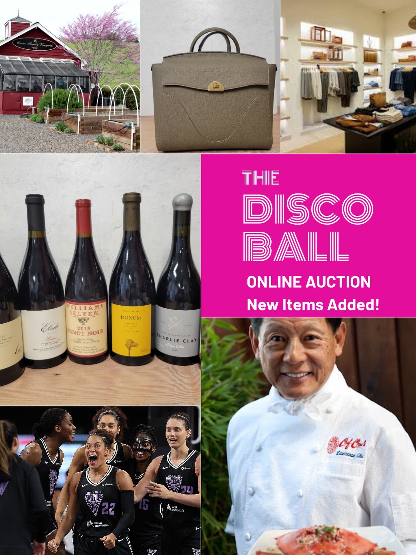 Our online auction is buzzing. ✨

We just added several new packages and yes, you&rsquo;re going to want a peek.

Think fine wines, standout handbags, vintage costume jewelry, original art, gift cards&hellip; it&rsquo;s all in there.

We&rsquo;re liv