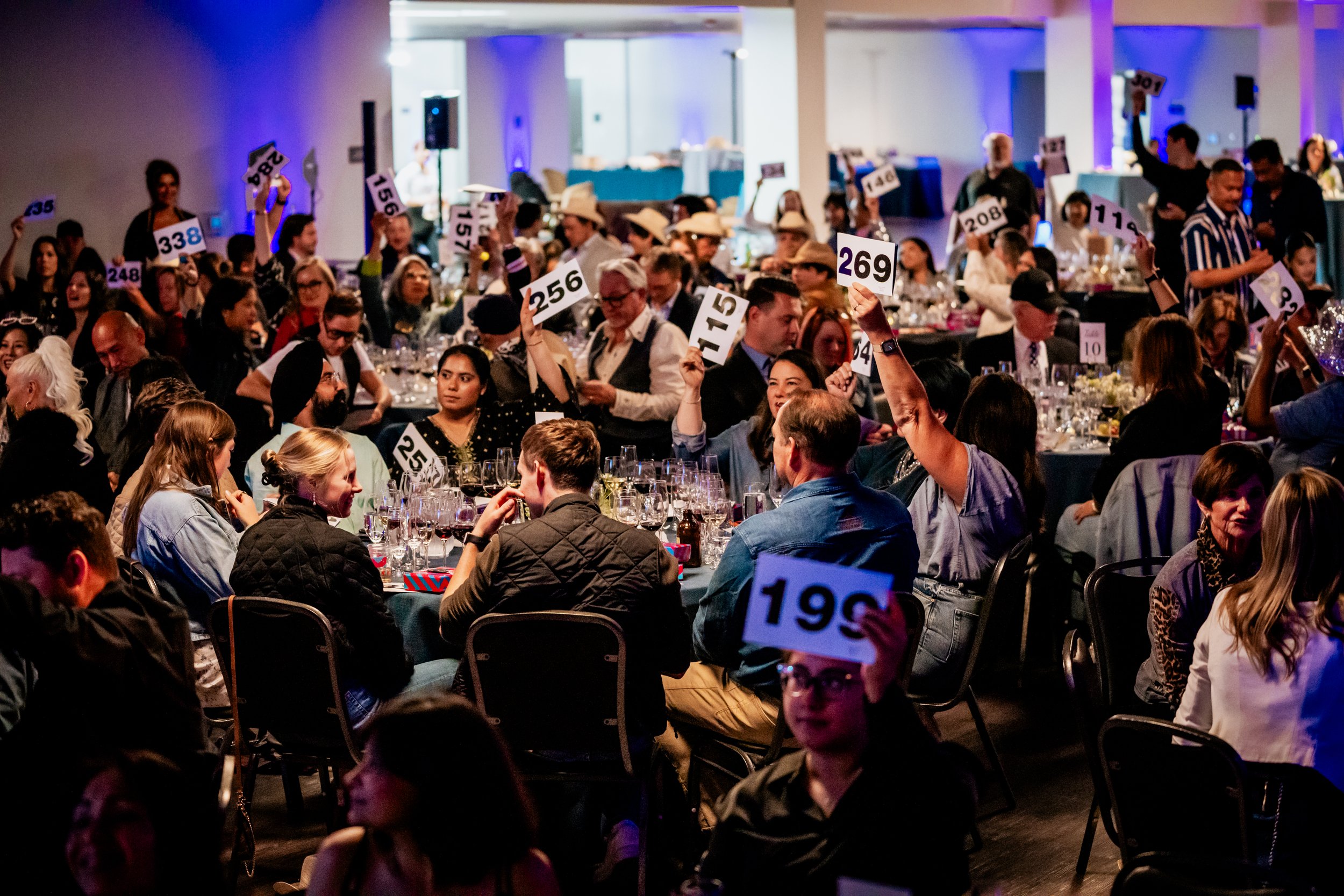 auction 2.jpg