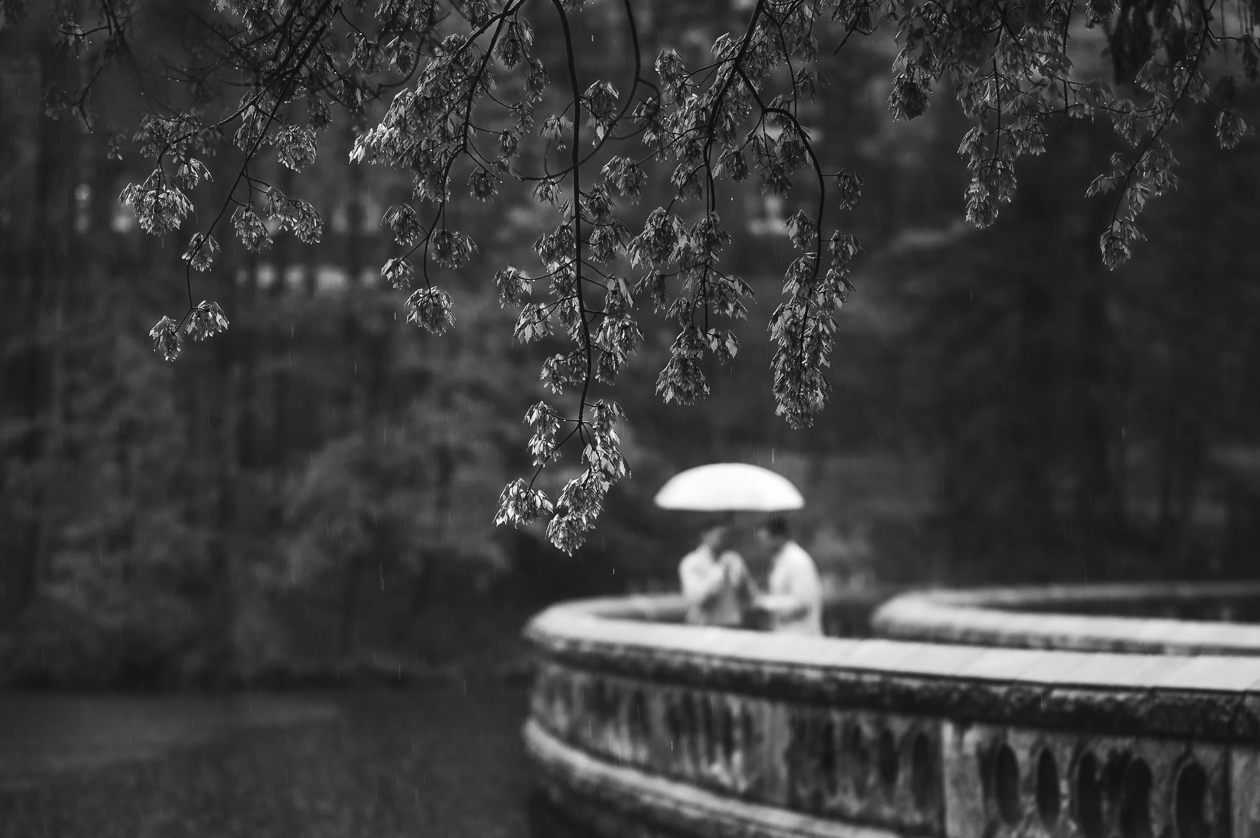 Black and white photo of a person holding an umbrella in a park, seen through tree branches
