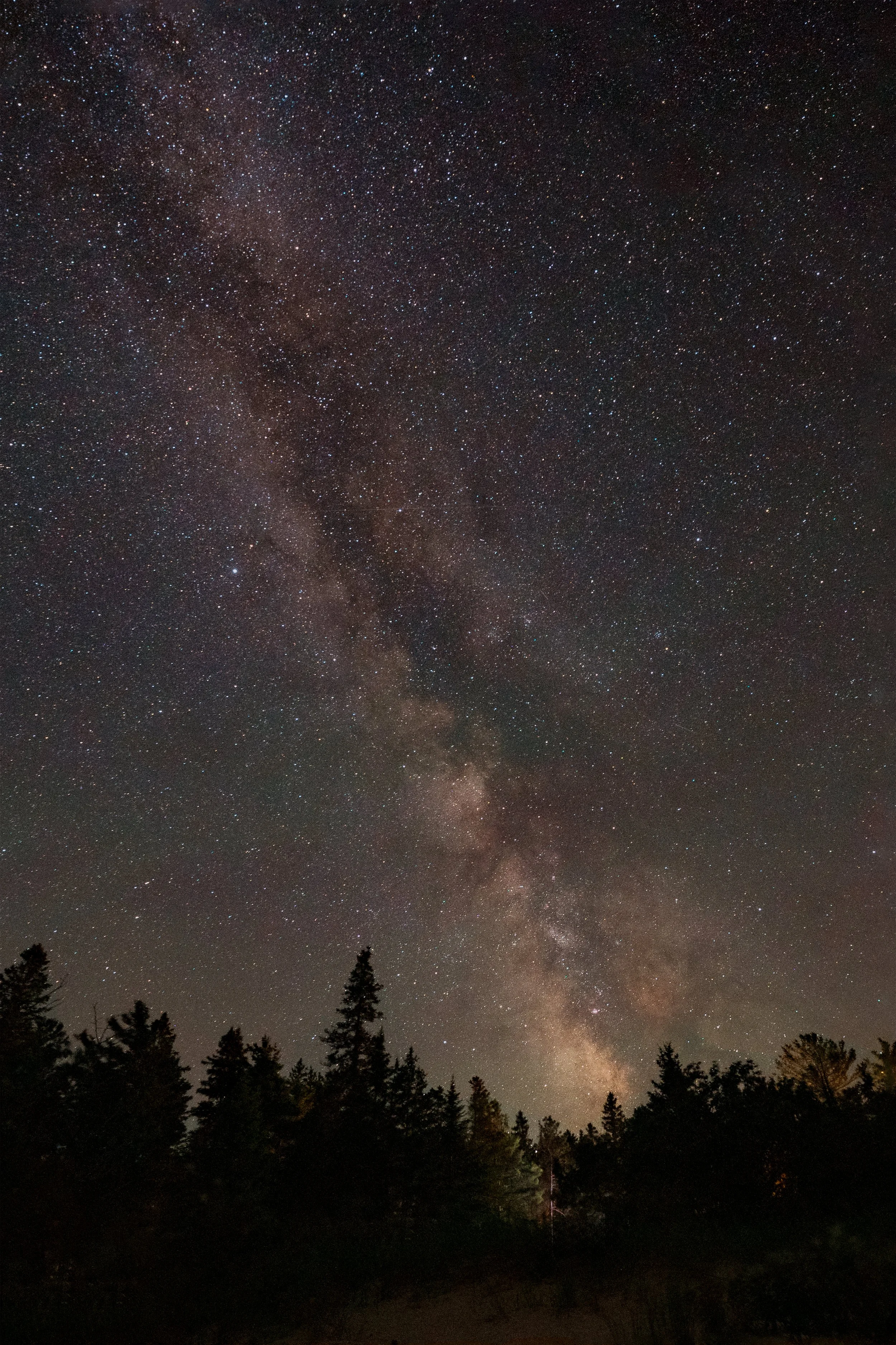 Night sky filled with stars and the Milky Way galaxy, with silhouette of trees at the bottom.