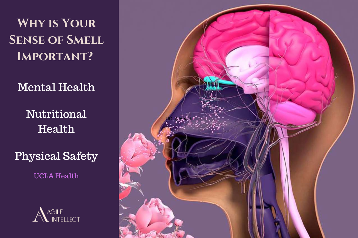 The Aromatic Edge: How Scents Can Make you Smarter — Agile Intellect