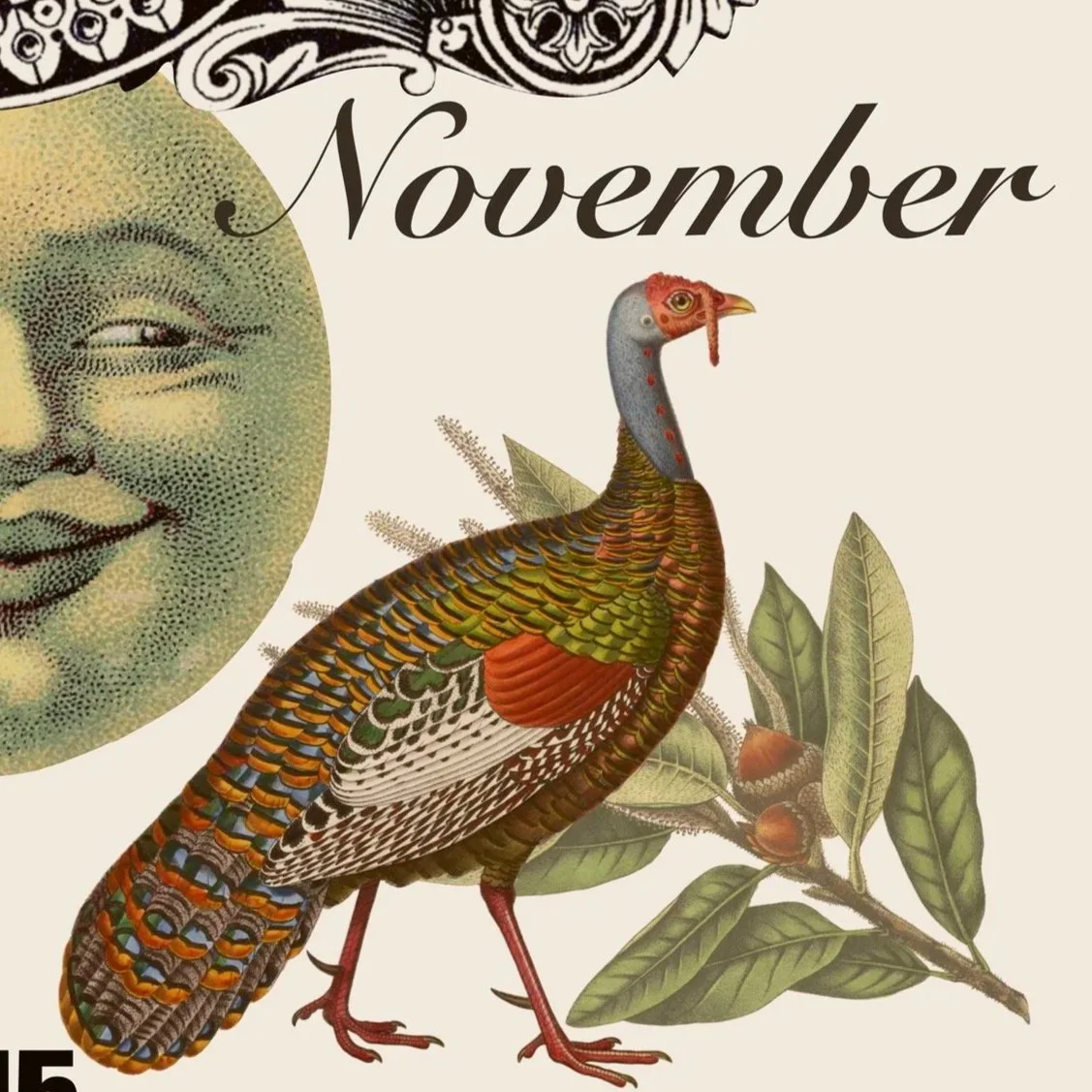 Thanksgiving Eve Hangout 
