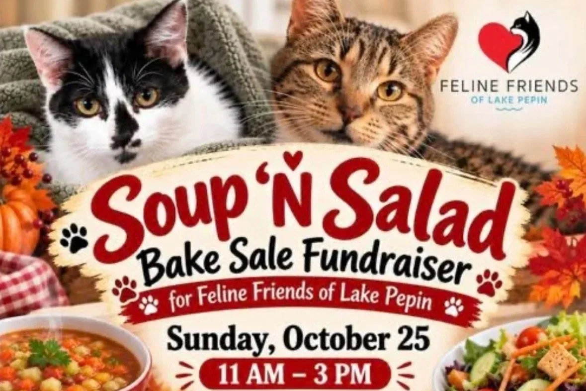 Feline Friends Fundraiser