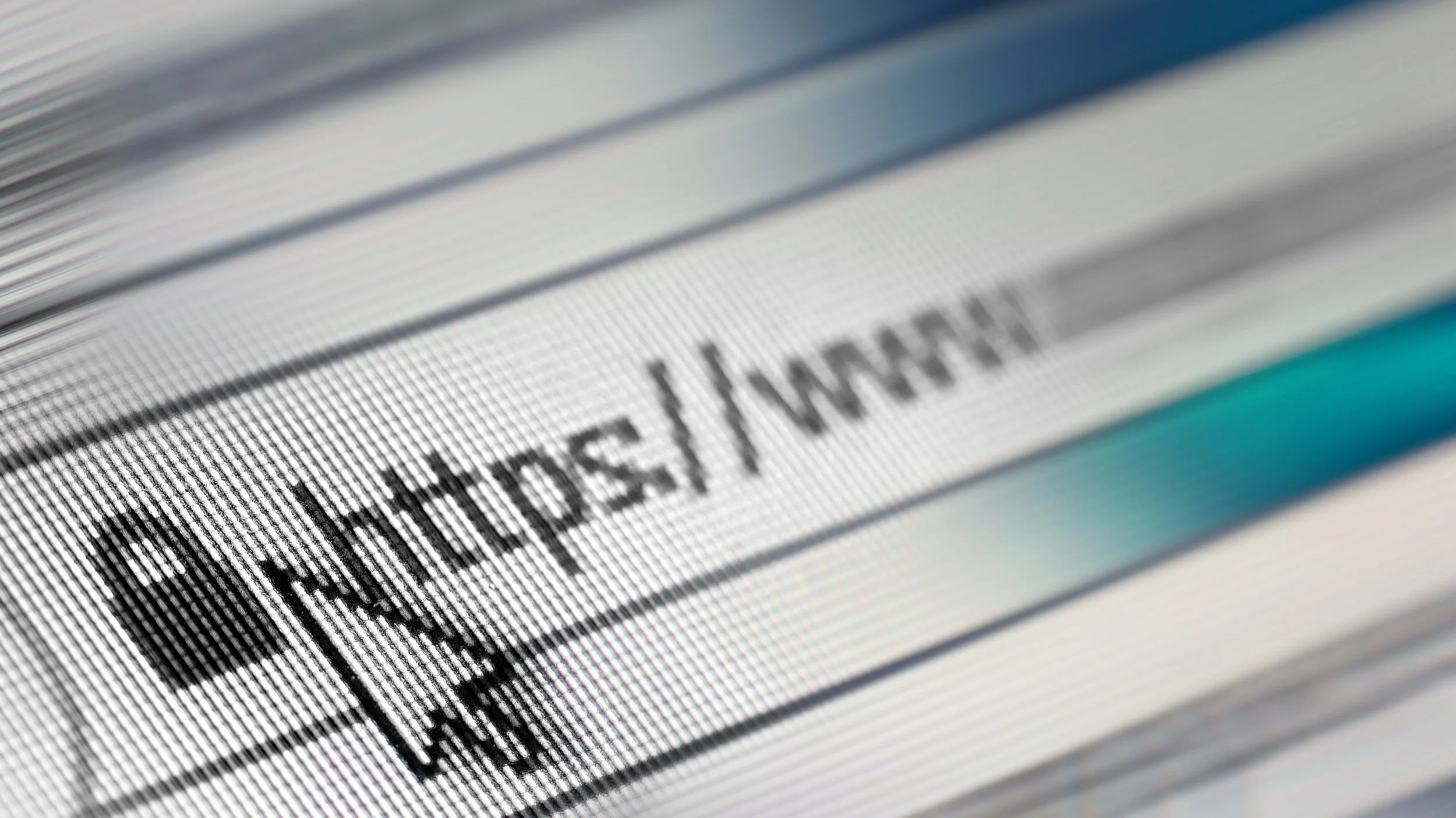 Domain Name Dispute: picture of a computer screen showing the first part of a website URL