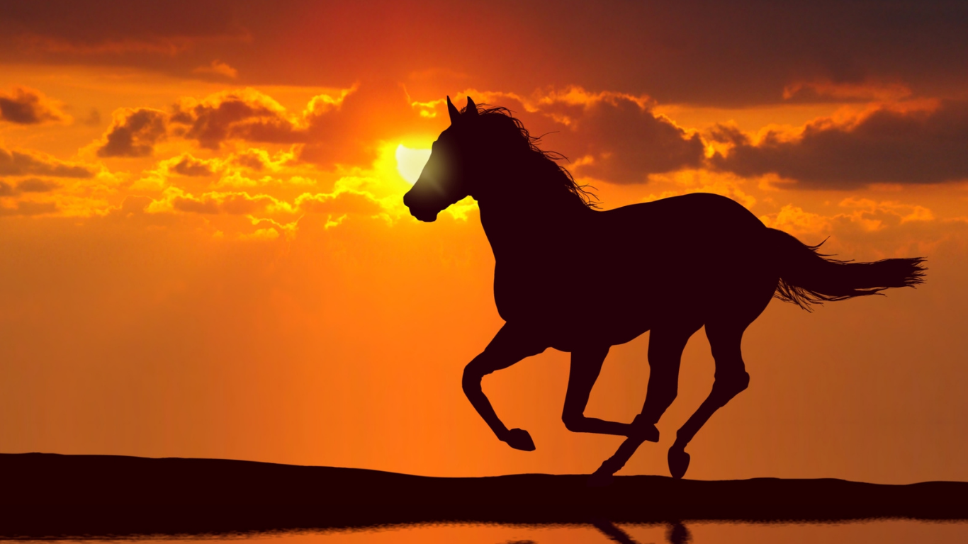 Welcom the year of the fire horse (BING-wu) NAVIGATING 2026 THROUGH THE EYES OF CHINESE MEDICINE