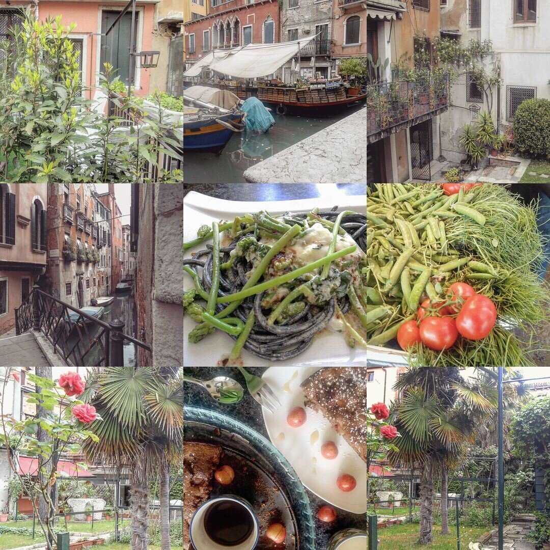 Our garden atelier in 2019 #bestnine2019 #Venice #Venezia #slowliving #slowfood #agardeninvenice #slowfooditalia #gardenstories #myvenice #secretvenice #culinaryvenice #theflavorsofvenice #thisisvenice #foodstories #venezia2019