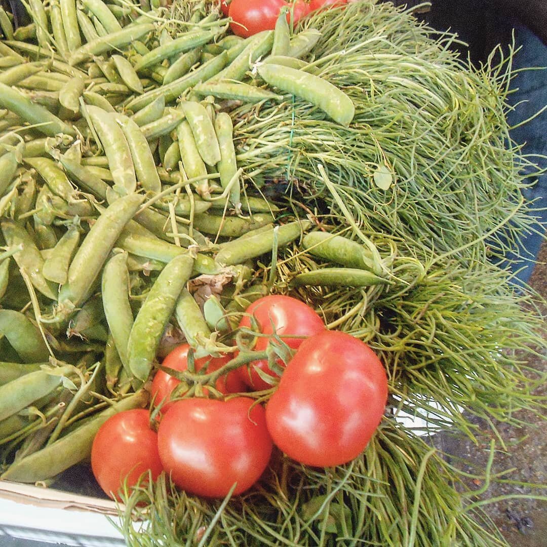 More bounty from #venice and the ingredients for a fragrant terrine flavored with garden herbs and a special spice mix which will enhance the vegetables - online tomorrow 🍅
And there's still #barbadifrate #agresti and garden peas #piselli 🌿🍃🌱 #sl