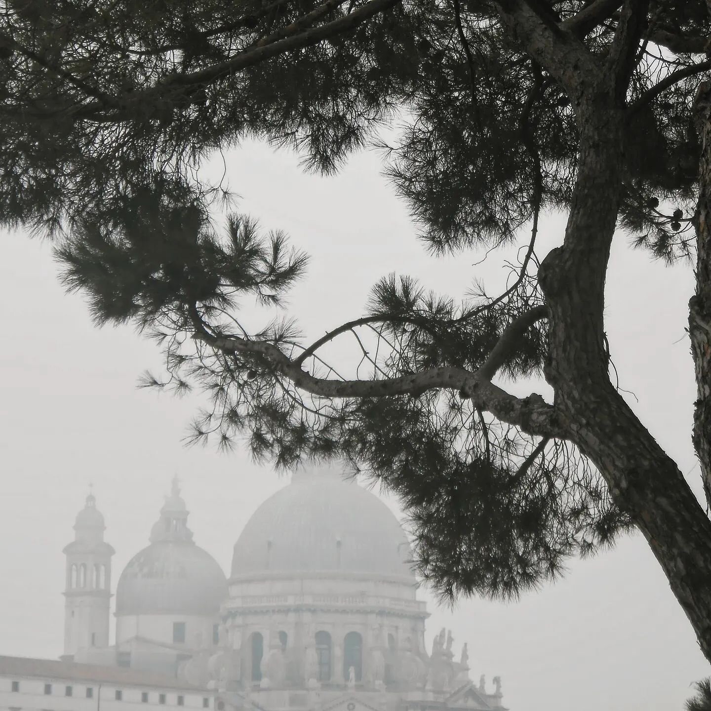 BUON NATALE 🎄
Basilica della Madonna della Salute, enveloped in fog just before night falls, seen from the Giardinetti Reali next to Piazza San Marco. 🌠 Wishing you a wonderful and quiet Christmas Day with inspiration from #venice 🌠 
Until the not