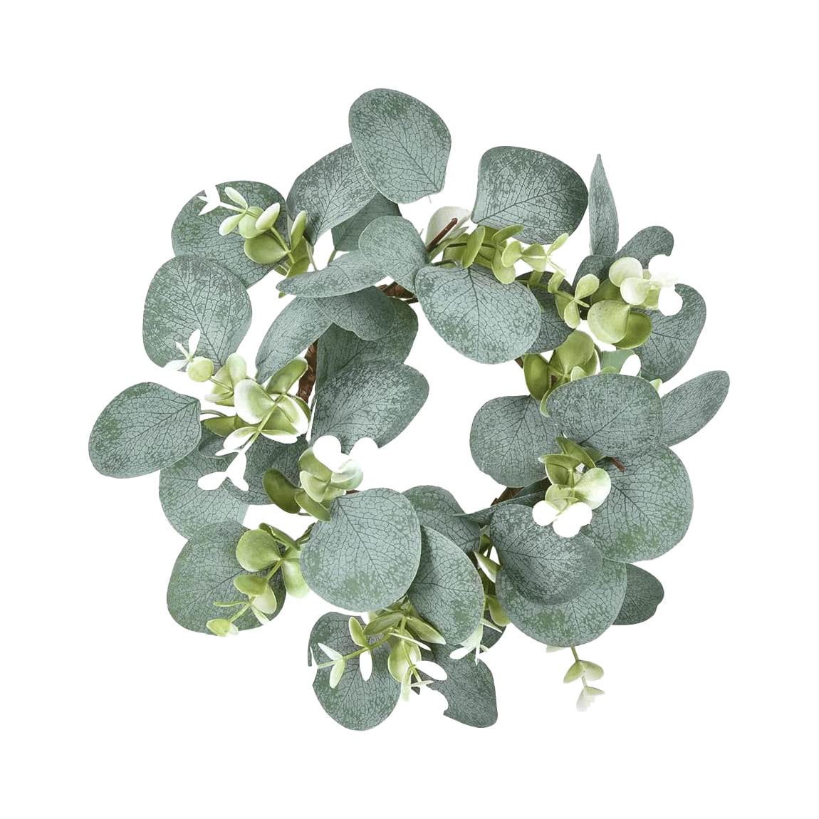 Eucalyptus Wreath