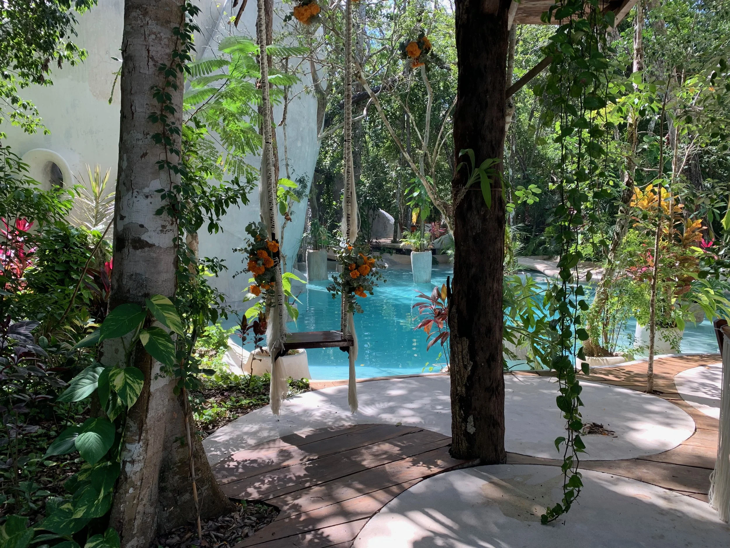 Tropical garden with lush green plants, trees, and flowers surrounding a swimming pool with a curved deck, in a peaceful outdoor setting.
