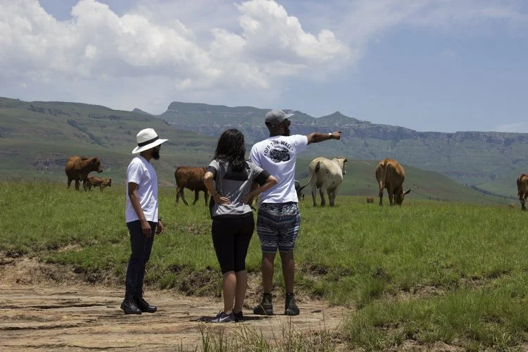 Three people standing on a grassy field with cows grazing in the background on a cloudy day.