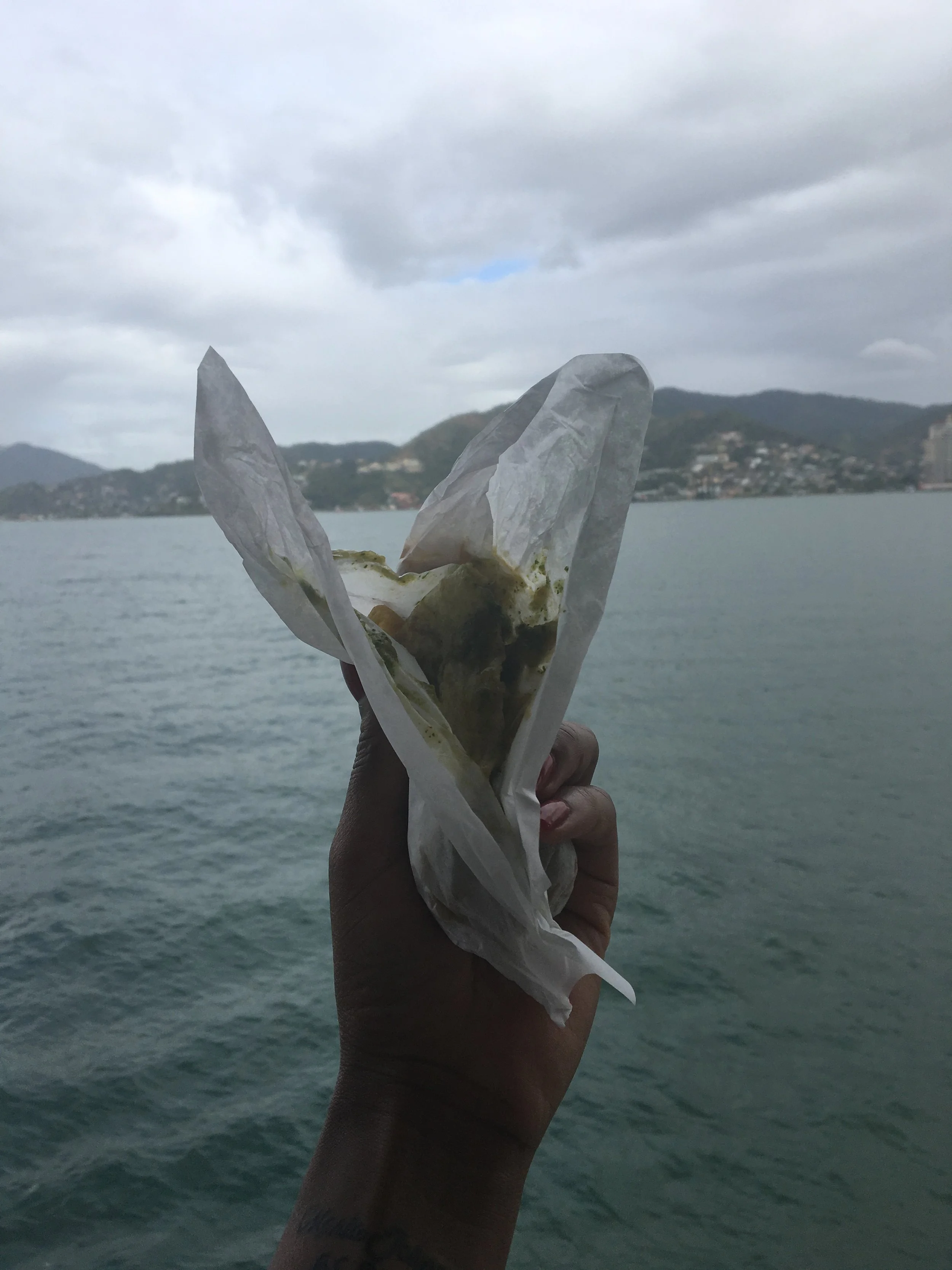 Hand holding a burrito wrapped in white paper with a view of an ocean, hills, and cloudy sky in the background.