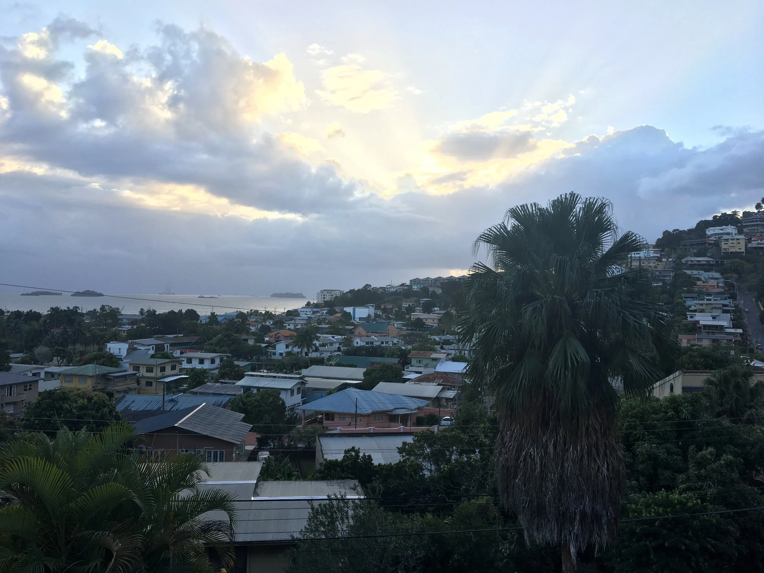 A view of a coastal town with houses on a hillside, a large palm tree in the foreground, and a cloudy sky with sunlight breaking through.