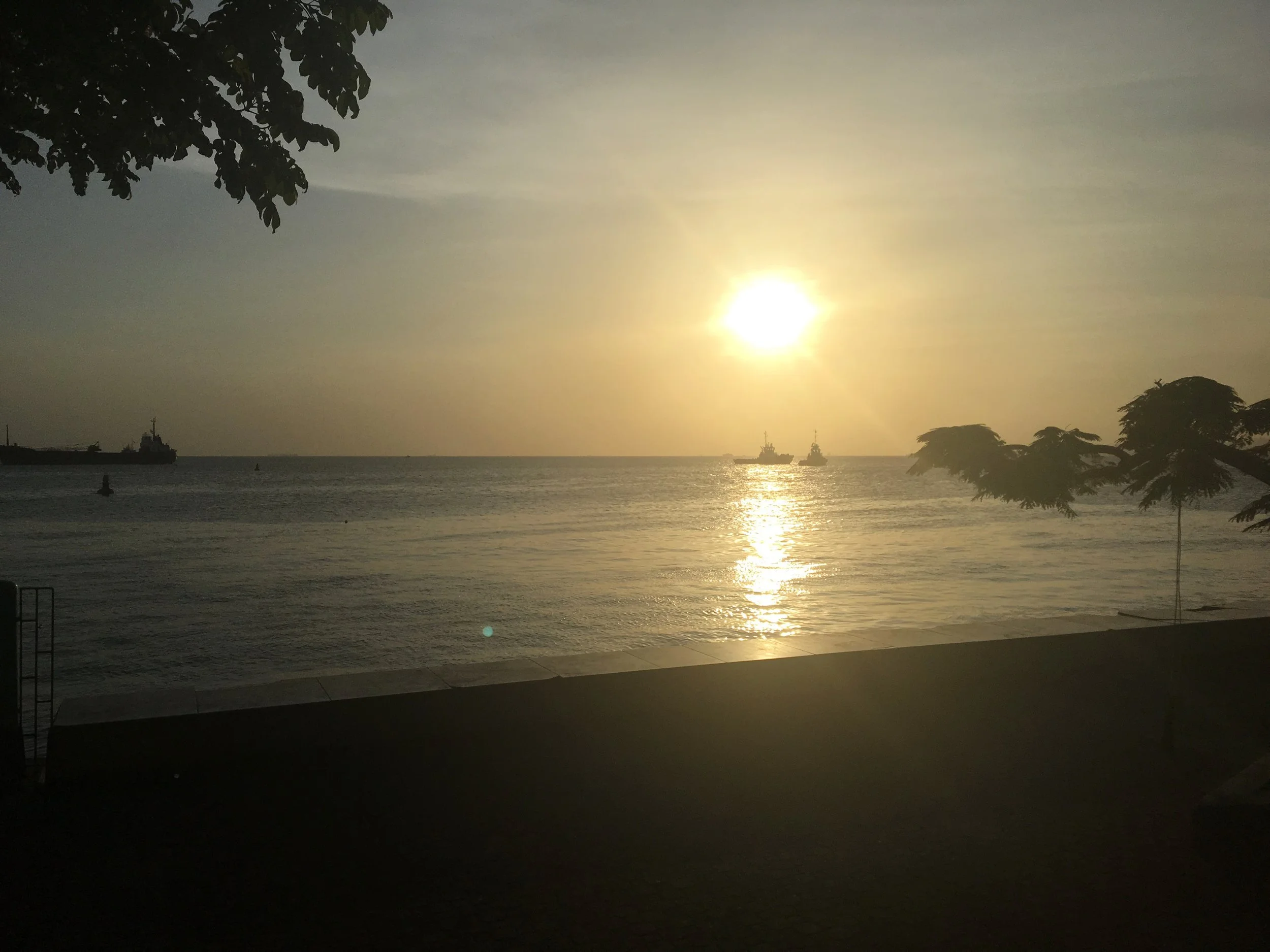 Sunset over the ocean with a reflection on the water, trees on the sides, and boats in the distance.