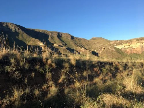 Open grassland with tall, wild grass in front of a rugged mountain range under a clear blue sky.