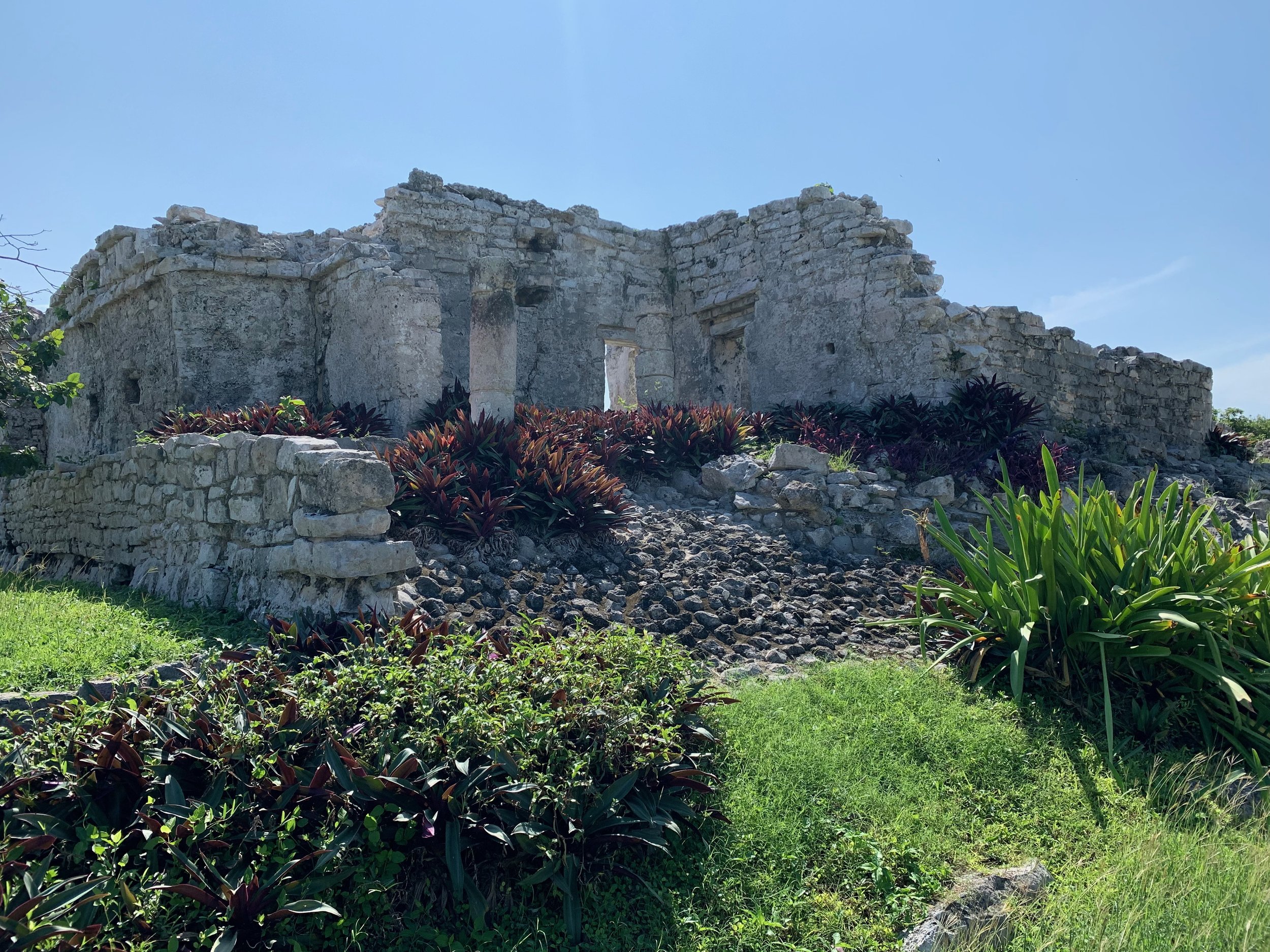 Ruins of an old stone building on a hill with plants and greenery in foreground under a clear blue sky.