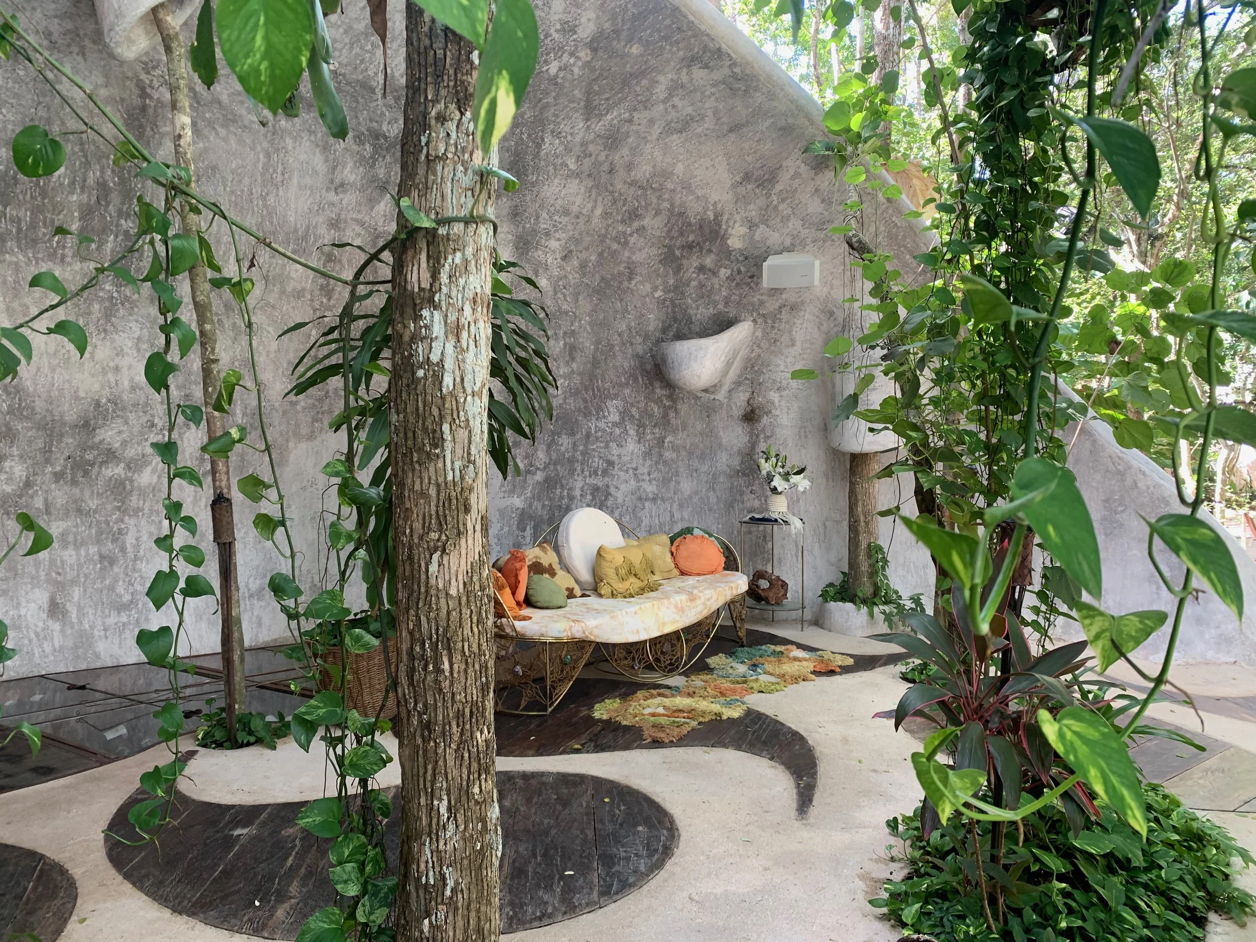 Indoor garden corner with a vintage sofa, surrounded by lush green plants and trees, decorated with colorful cushions, a rug, and wall-mounted planters on a textured gray wall.