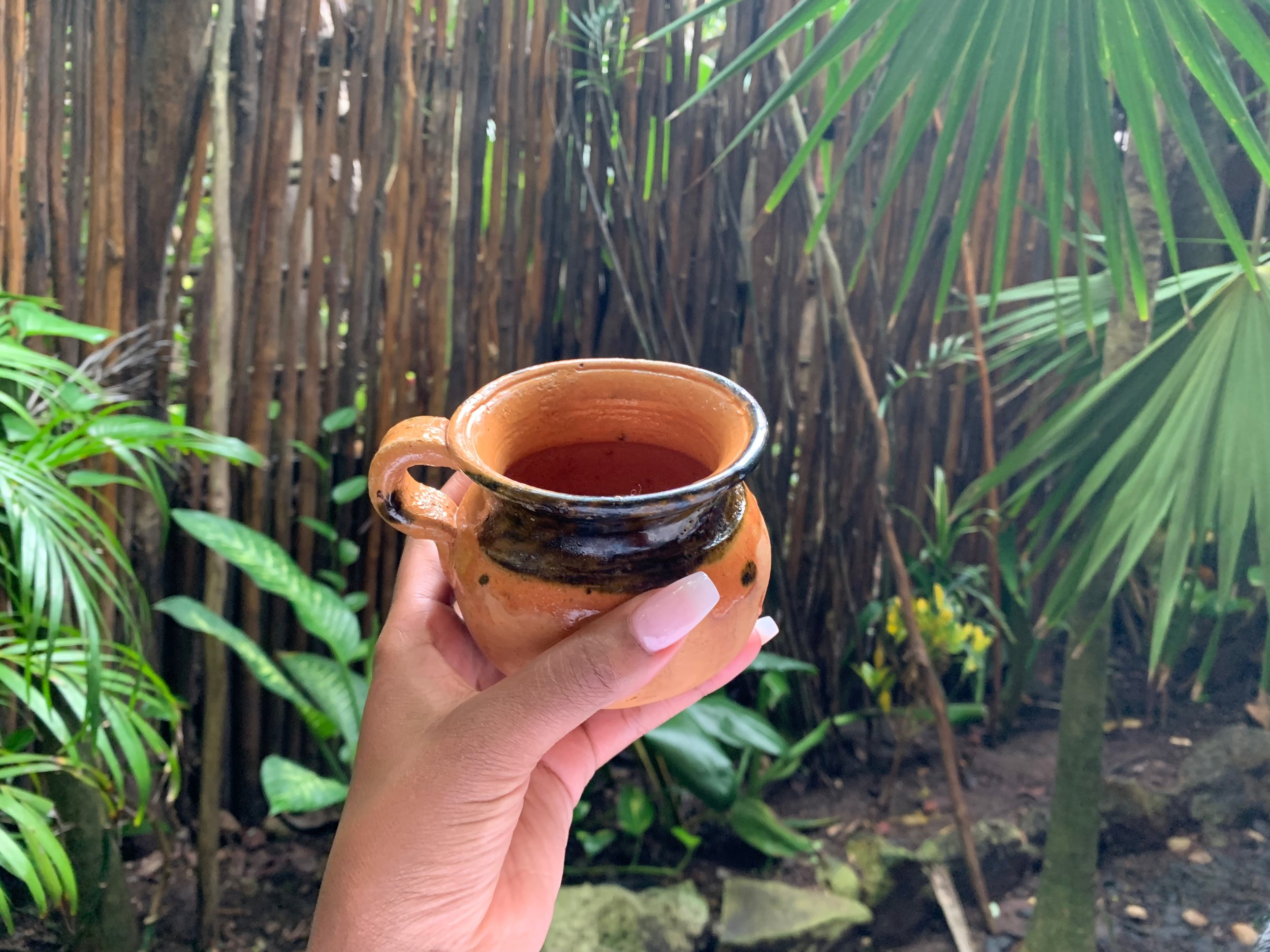 A hand holding a small ceramic cup filled with a dark beverage, set against lush green plants and a wooden fence background.