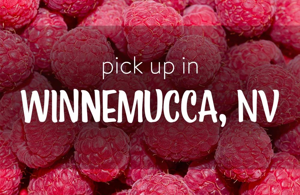 ProductPhotos-AllBerries-WinnemuccaNV.jpg