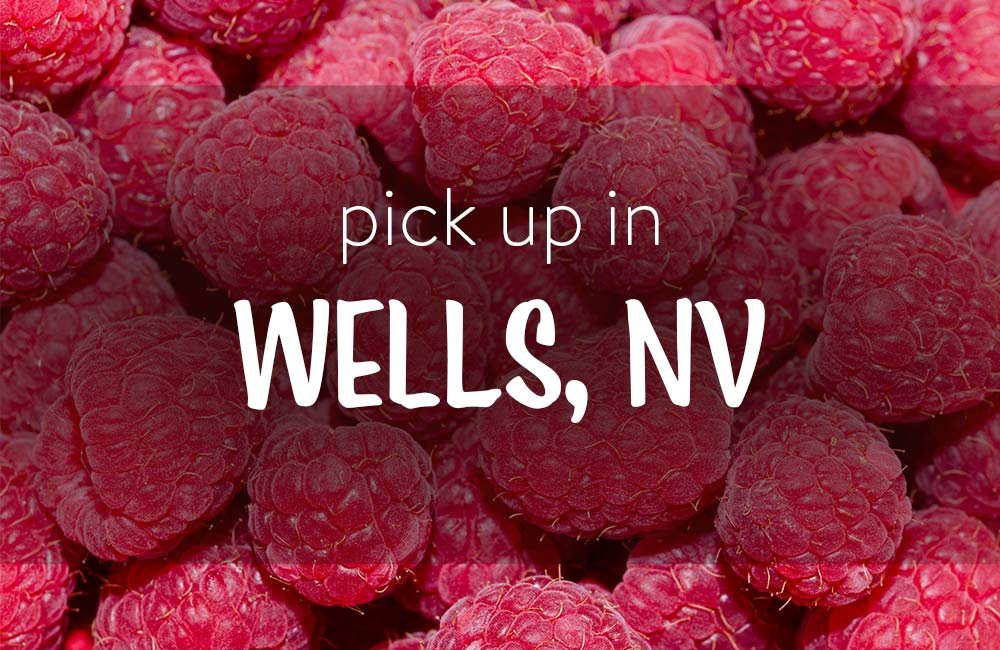 ProductPhotos-AllBerries-WellsNV.jpg