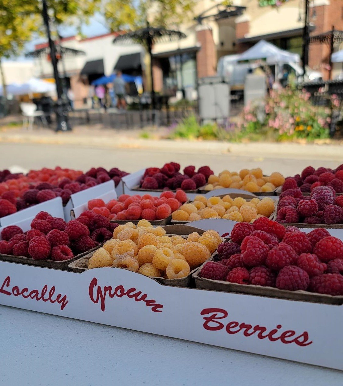 Raspberry Pick Up: Eagle Mountain, UT — Paradise Valley Farms