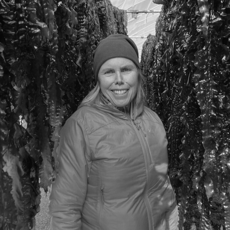 Sailboat passing in front of an offshore wind turbine array.