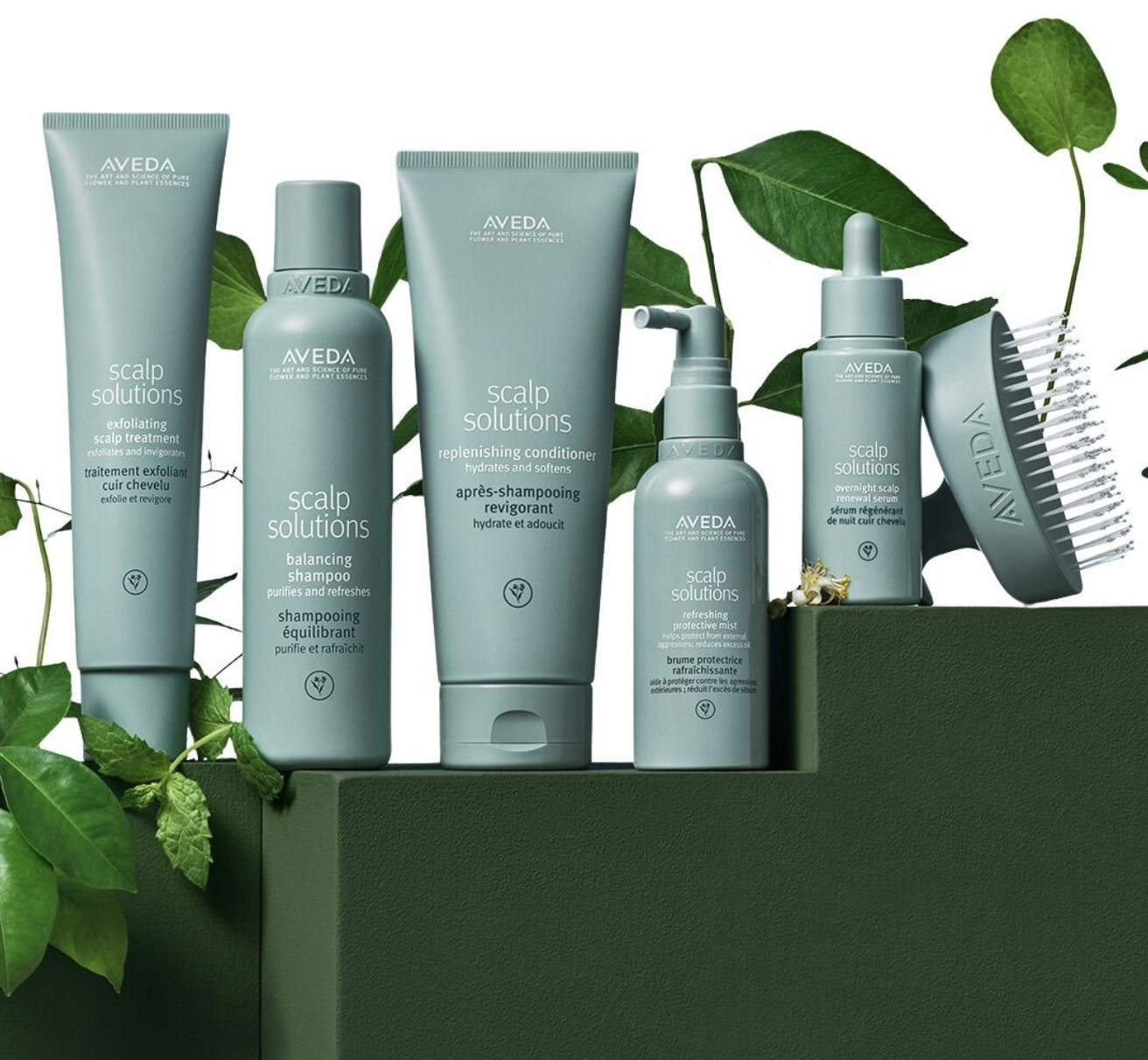 Scalp Care 101: Combat Dandruff, Itchiness, and Flakes for a Healthy Head