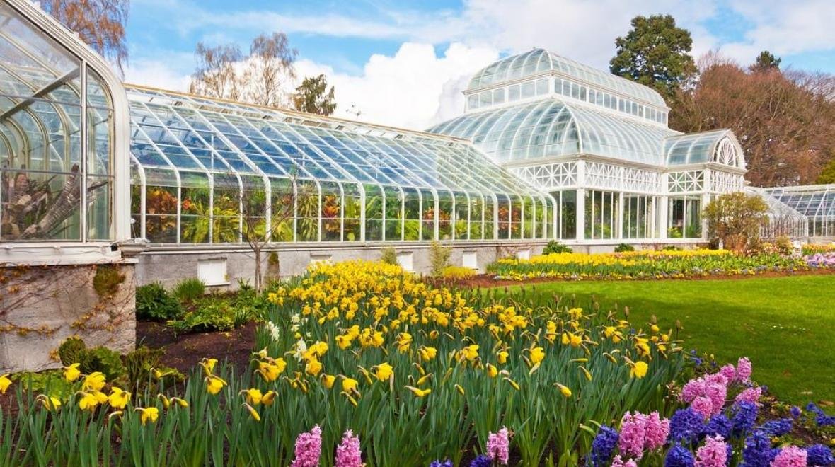 Volunteer Park Conservatory photo 2