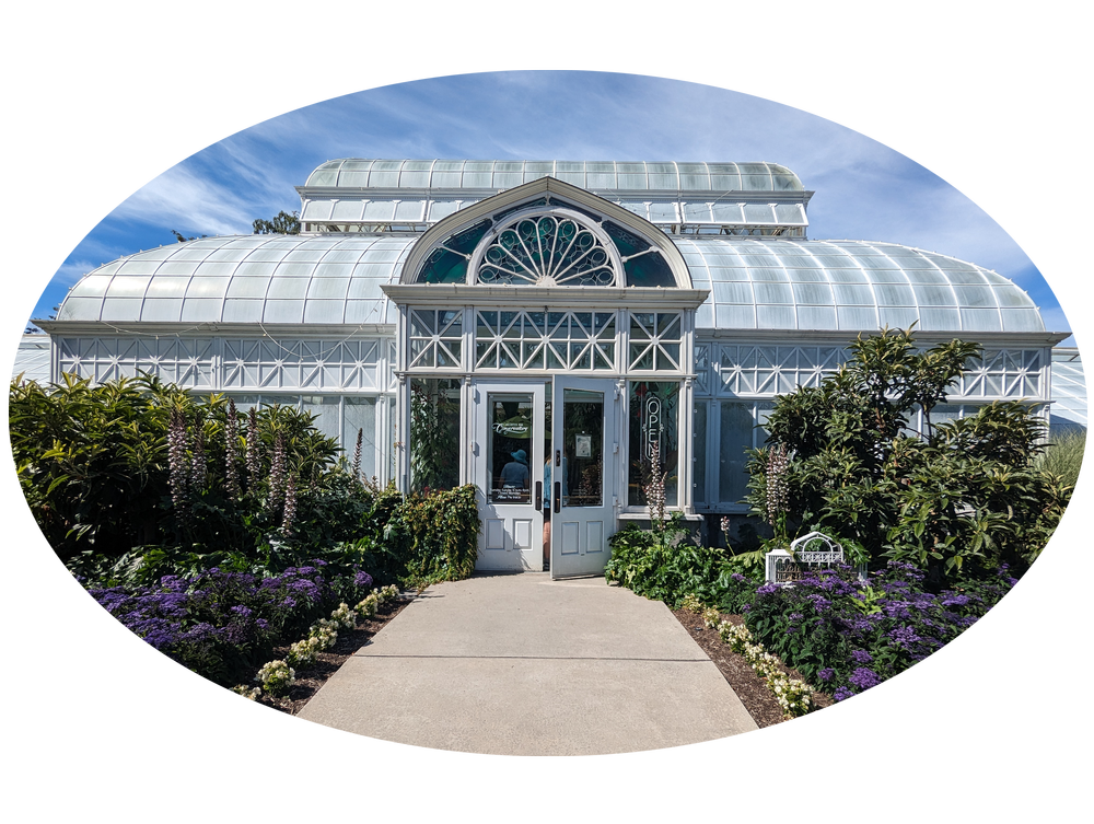 Volunteer Park Conservatory photo 2