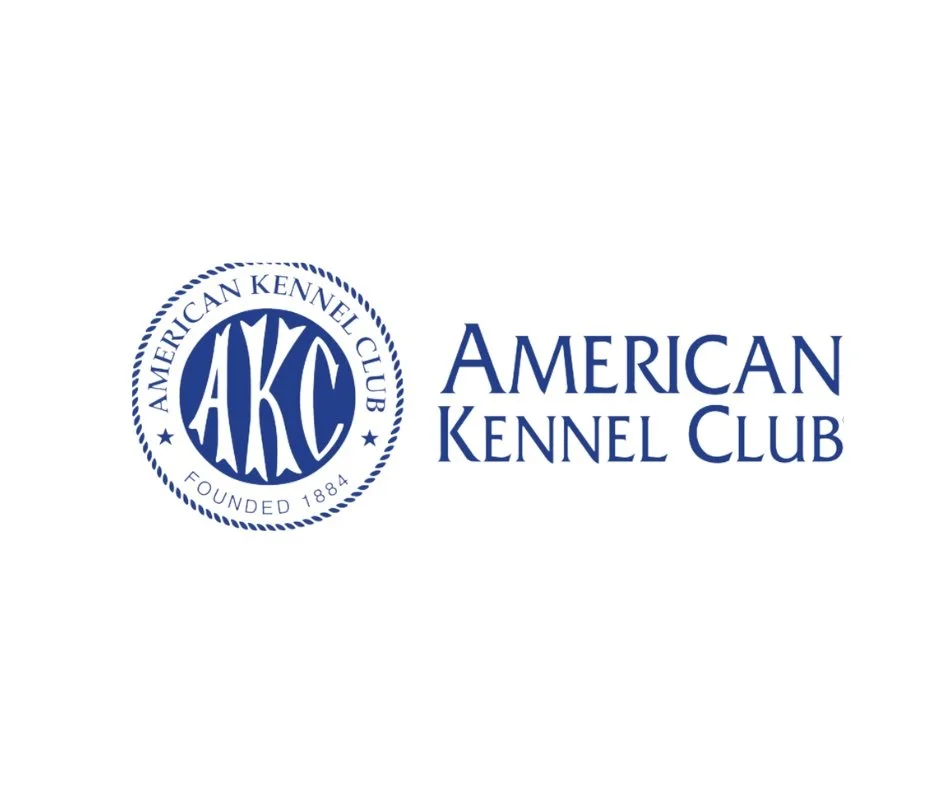 CaveInn Labradors Achieves 100% AKC Compliance