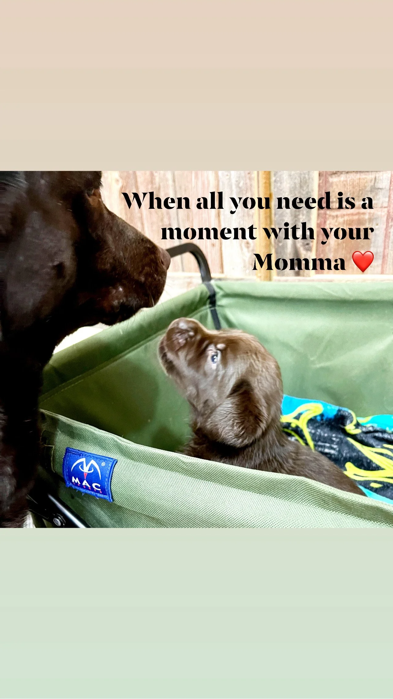 #HotelCaveInn 3 Weeks Old