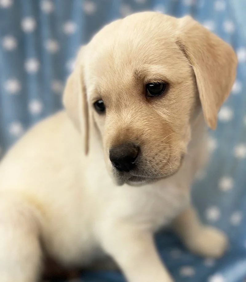 Time to say Good-bye