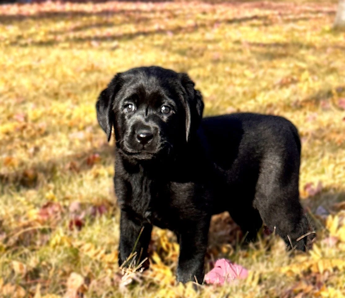 Cyclone awaits her family