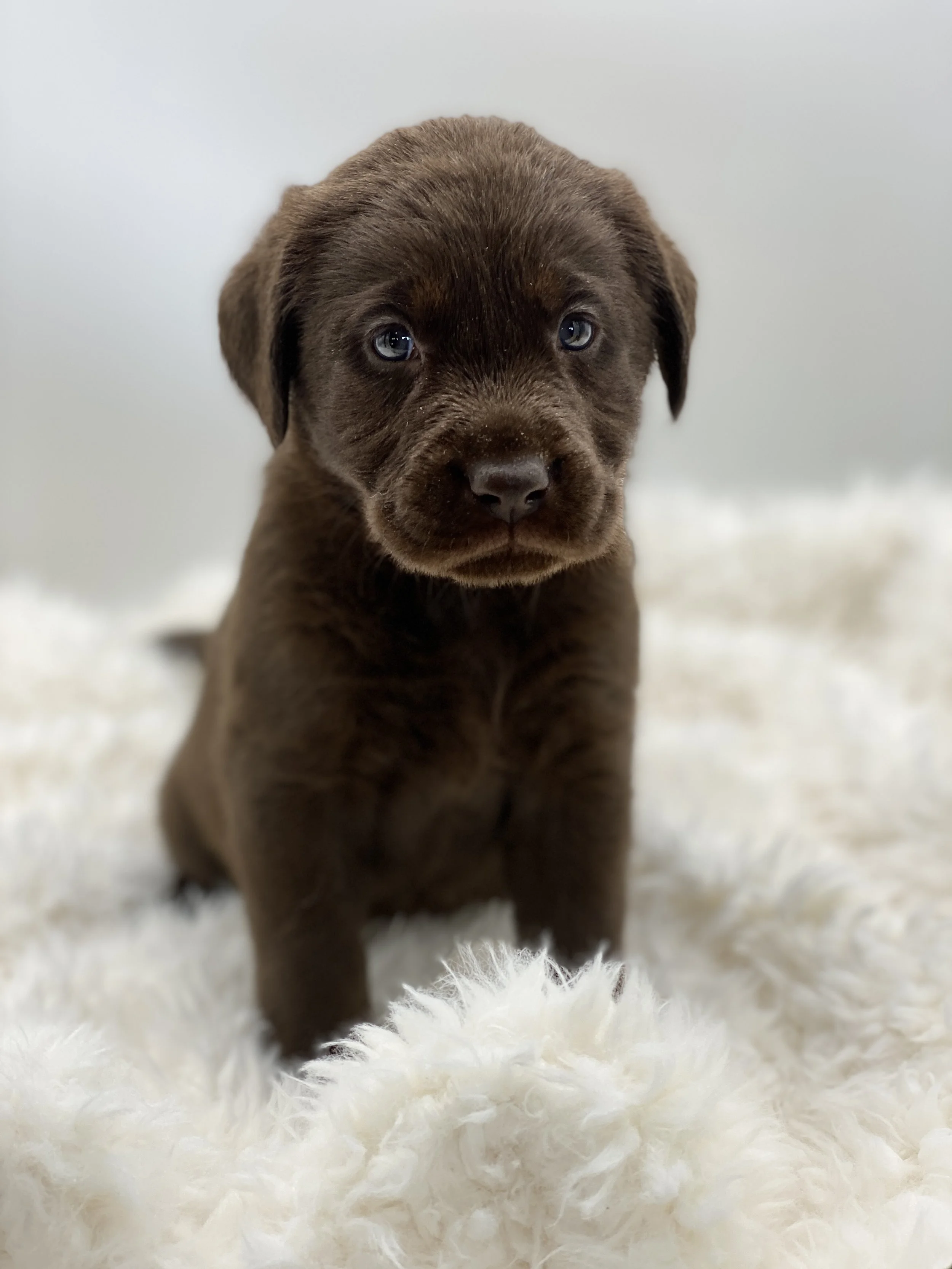 Hayzel Takes a Break