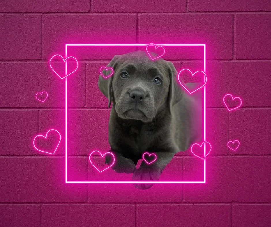 March came in like a Lion