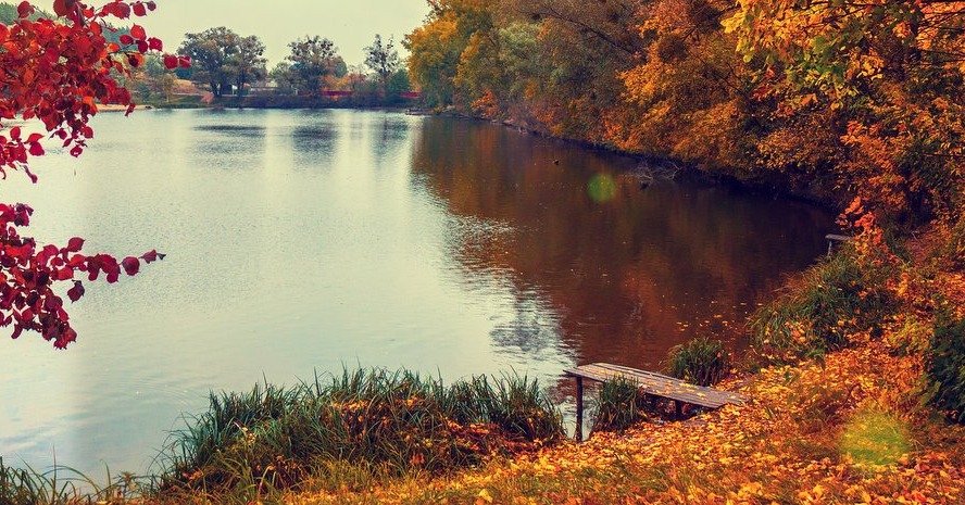 Thanksgiving is all about gratitude, togetherness, and of course&hellip; delicious food! As you gather with loved ones this holiday, don&rsquo;t forget to include your four-legged family members in the celebration. Here are a few simple ways to make 