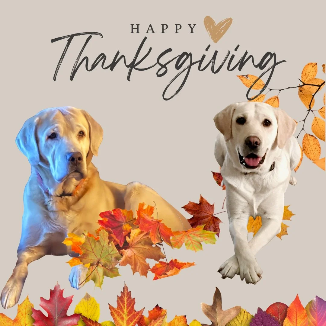 Grateful for all our blessings this #Thanksgivingday.