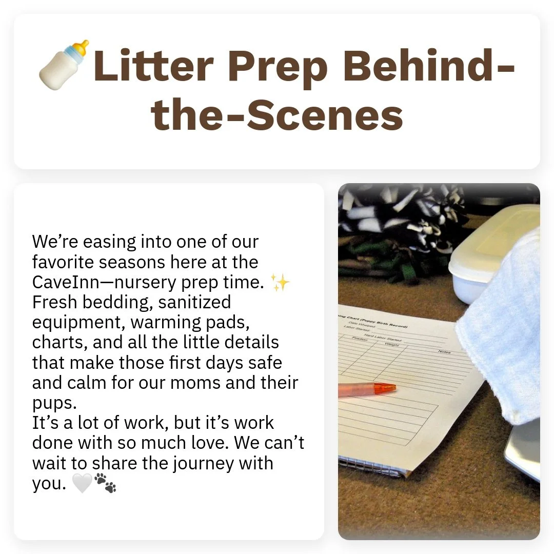 As we step into nursery-prep season at the CaveInn, the whole house shifts into a gentle kind of anticipation. There&rsquo;s something so special about getting everything ready for the arrival of new little ones&mdash;every detail matters, and every 