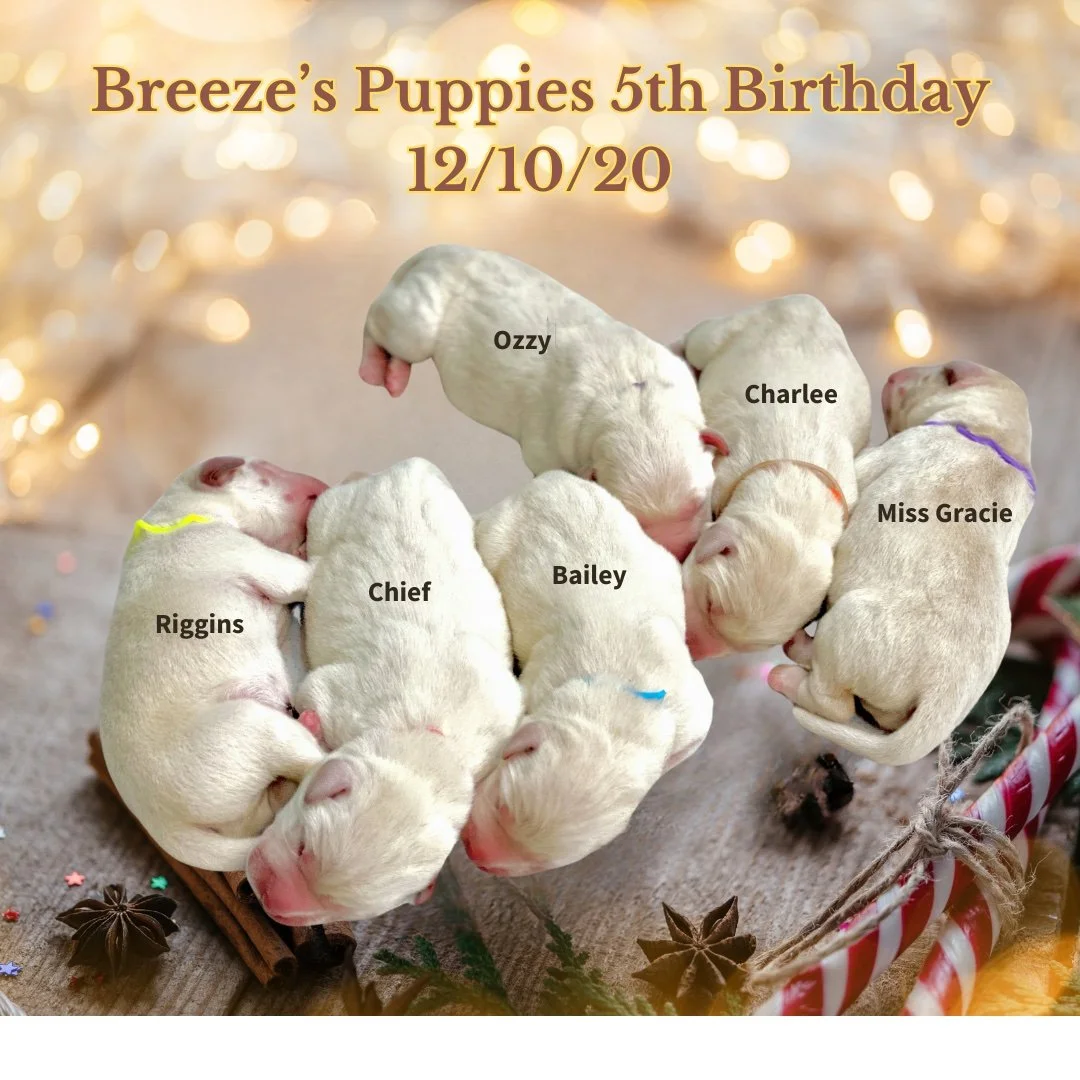 A big Happy 5th Birthday today for these kids! How can it be that you are already 5? The #CaveInn sends happy wishes!