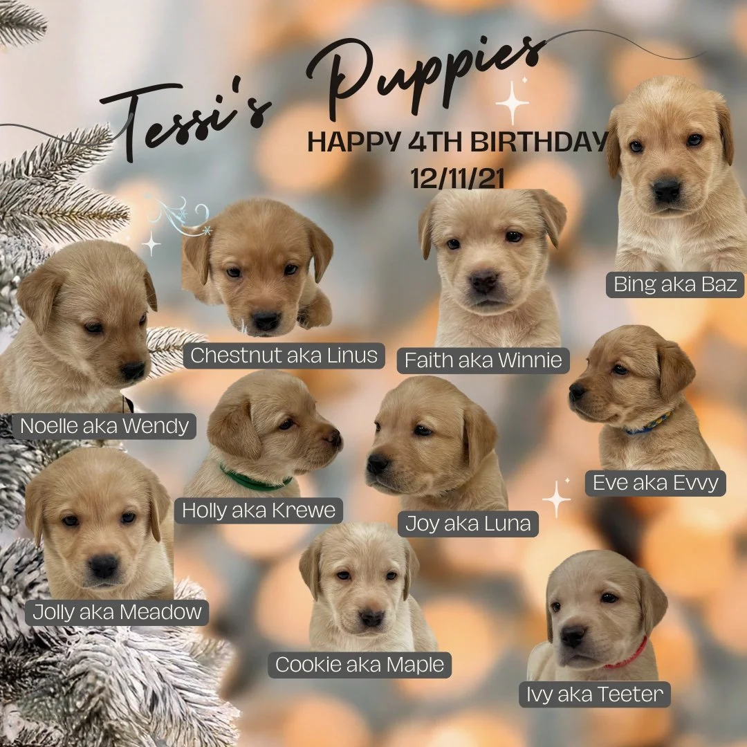 Happy 4th Birthday to these little redheads from the #CaveInn!