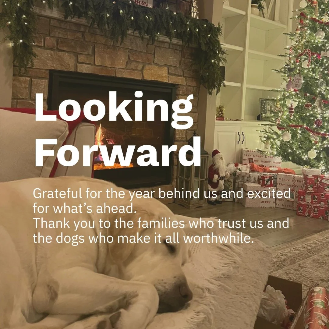 Looking ahead to another year of carefully planned pairings, early development, and lifelong breeder support.
#CaveInnLabradors
#PurposeBredLabradors #BreederSupportForLife
#QualityOverQuantity
#WellBredDogs