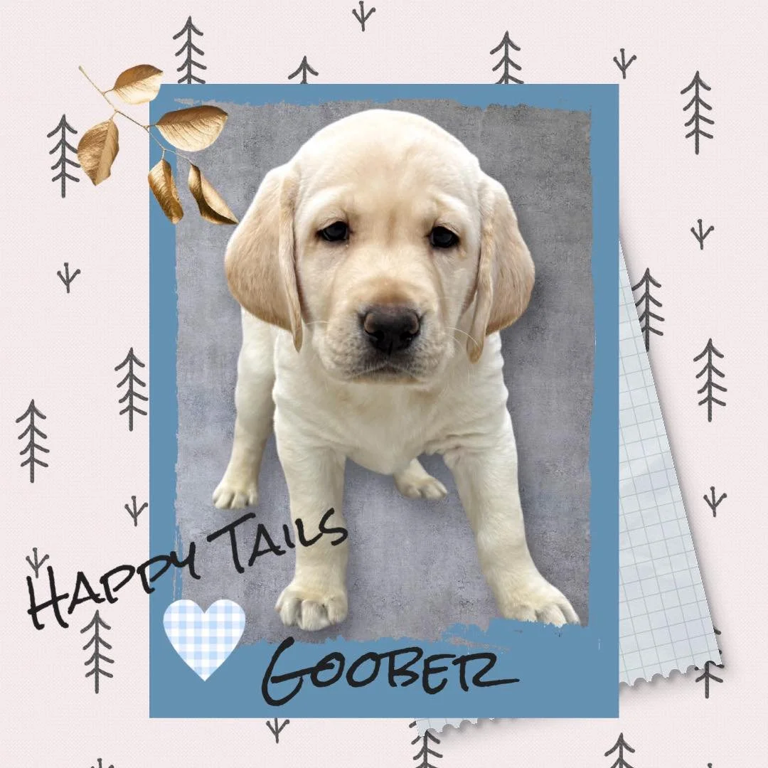 So long, Goober. From your first days at the CaveInn to today, you have filled our home with smiles. Watching you head off to your forever family is bittersweet, but this is what it&rsquo;s all about &mdash; love, purpose, and new beginnings.