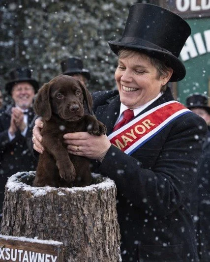 Happy #GroundhogDay 🐾
One thing we never get tired of seeing&mdash;our puppies with their parents, happy, and deeply loved. This is the best kind of repeat.

Miss Clara aka Liza from our recent #Mayberry crew.